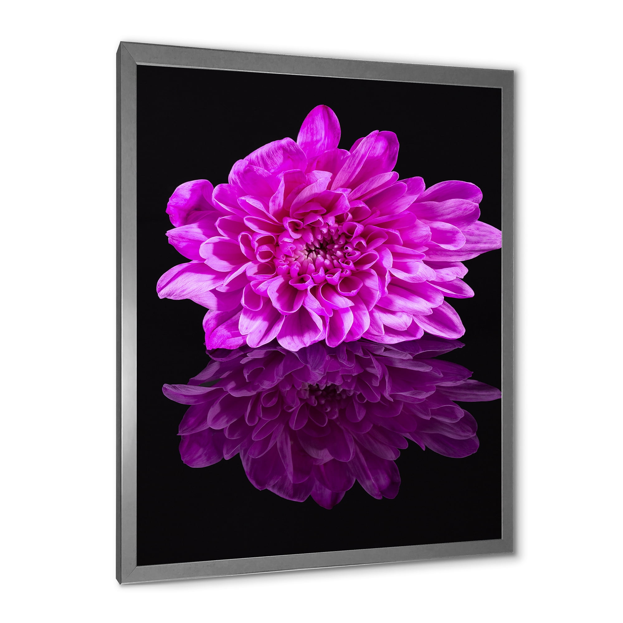 Designart 'Single Purple Chrysanthemum Flower On Black Reflection' Traditional Framed Art Print