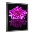 thumbnail image 2 of Designart 'Single Purple Chrysanthemum Flower On Black Reflection' Traditional Framed Art Print, 2 of 4
