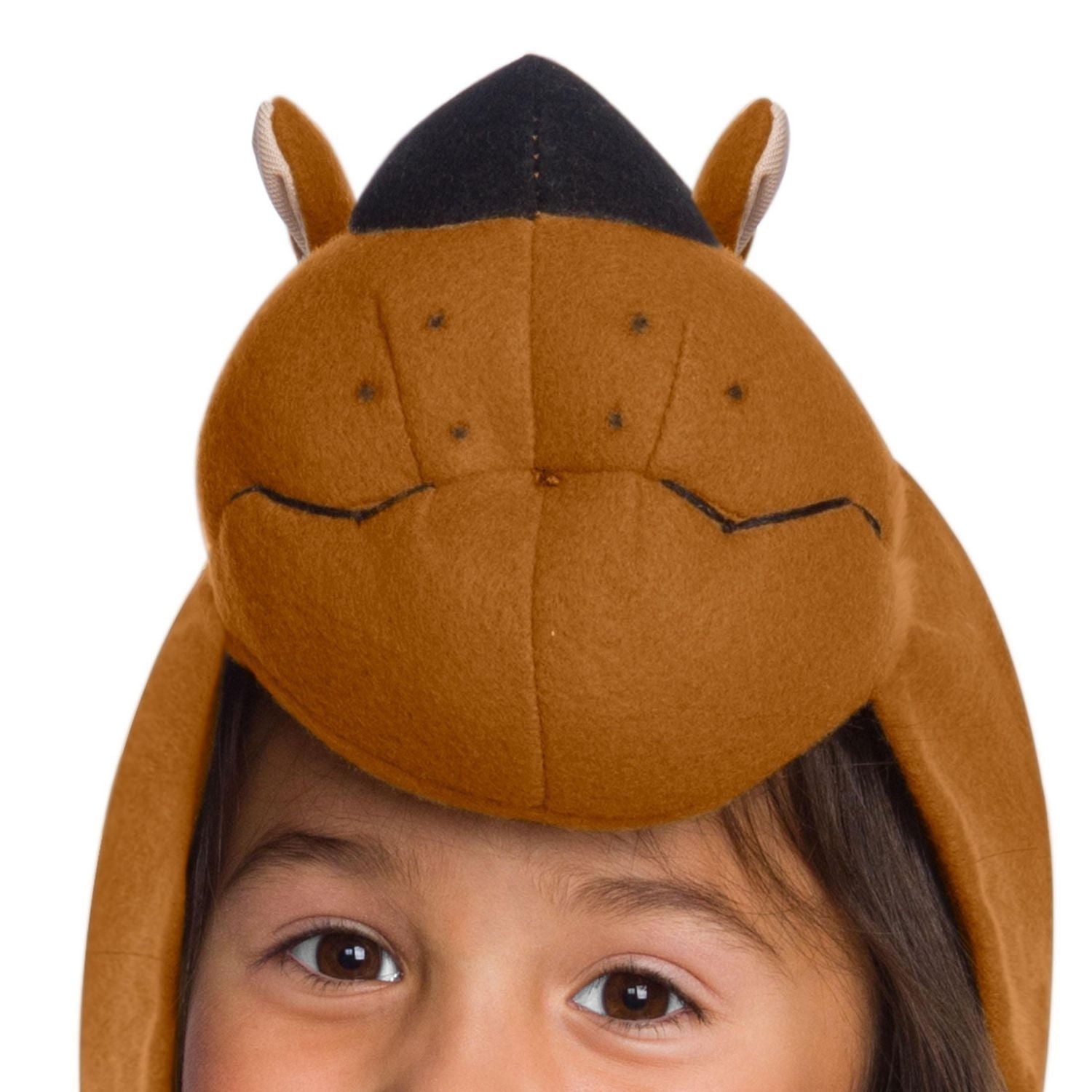 Costume  Scooby-Doo SCOOB! pour tout-petits