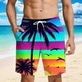 thumbnail image 7 of Men's Big and Tall Shorts with Pockets Elastic Waist Hawaiian Tropical Print Double-layer Drawstring Loose Beach Swim Trunks, 7 of 7