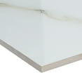 thumbnail image 5 of Aria Bianco 24 in. x 24 in. Polished Porcelain Floor and Wall Tile (16 sq. ft. / case), 5 of 5