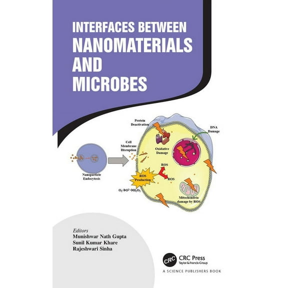 Interfaces Between Nanomaterials and Microbes, (Paperback)