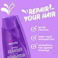 thumbnail image 2 of Aussie Shampooing Miracle Réparateur avec Aloès pour Tous les Cheveux, 2 of 10