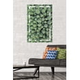 thumbnail image 2 of Cactus - Group Wall Poster, 22.375" x 34", 2 of 4