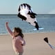 thumbnail image 3 of Cometa 3D Creativa Cometas De Playa De Delfín Azul Grande Con Regalo De Parafoil Suave Sin Marco Enorme Para La Familia De Los Niños Yuarrent OD016721-01, 3 of 6