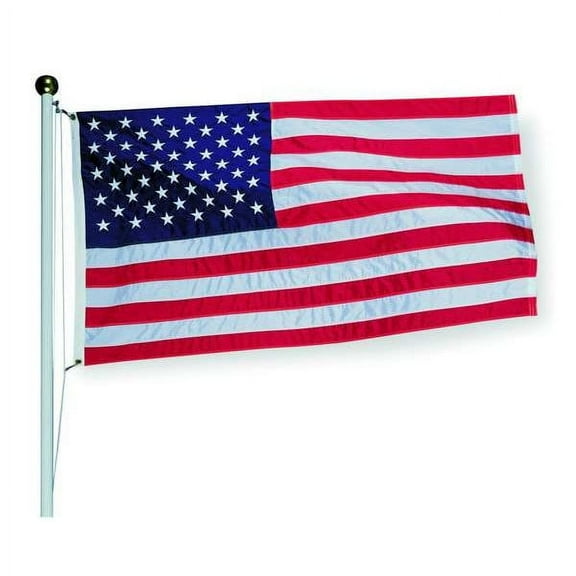 Annin Flagmakers US Flag,3 x 5 Ft,Nylon 2130