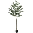 thumbnail image 3 of HOMCOM 6ft Artificial Tree with Fruits, Silk Olive Tree for Home, Office, Living Room Decor, Fake Plant with Pot, 3 of 10