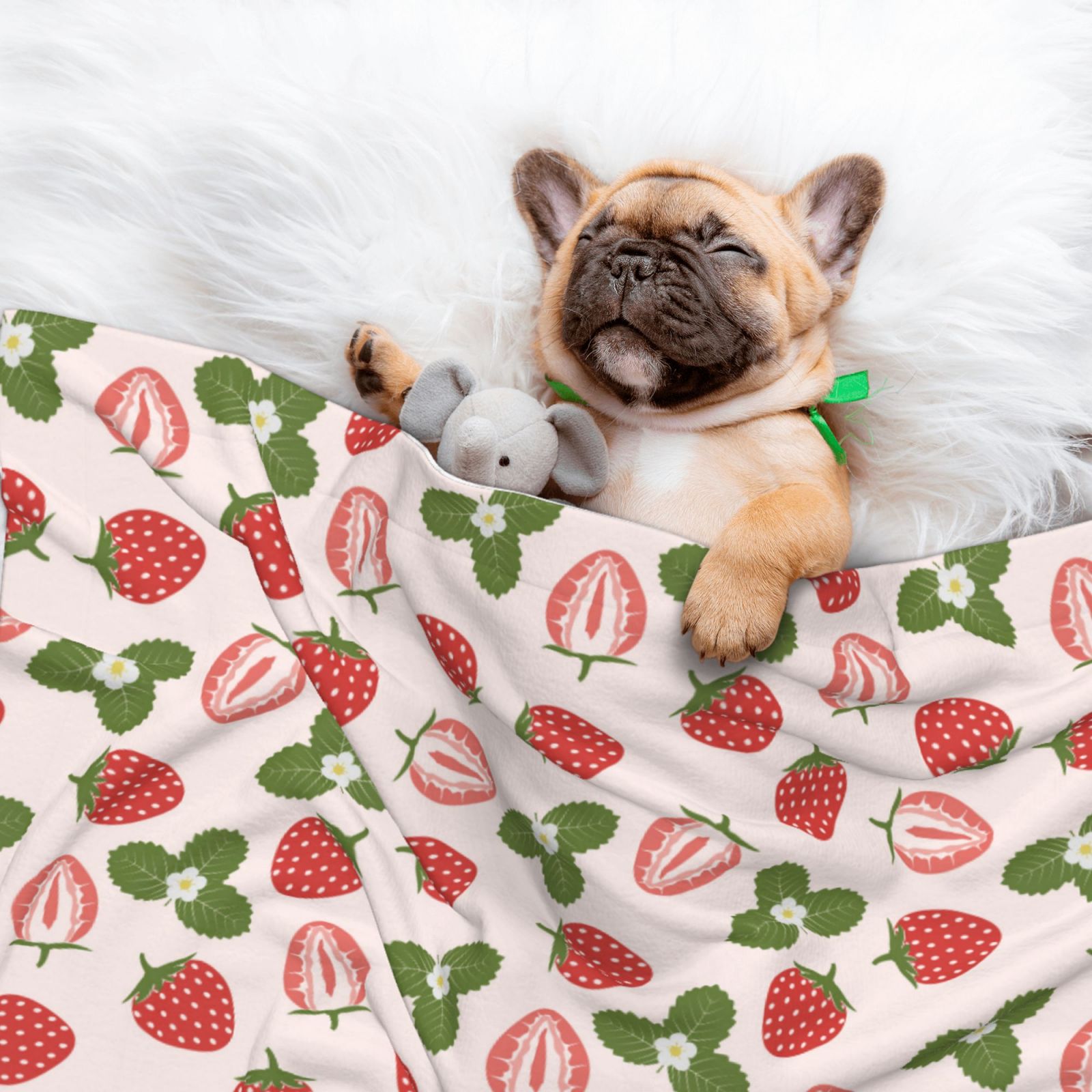 Naloa Strawberries And Leaf Dog Blanket, 3 Sizes Cat Blanket for Indoor Cats Large Medium Small Dog Gifts-Large