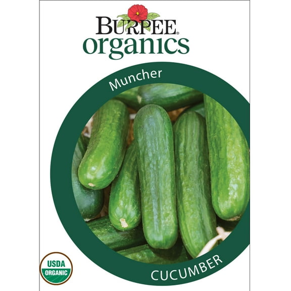 Burpee Organic Muncher Cucumber Seed, Annual Vegetable, Full Sun