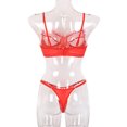 thumbnail image 2 of Conjunto de ropa interior sexy para mujer, pestañas de malla, sujetador de encaje, ropa interior, regalo, rojo, S Guardurnaity XX000055-03, 2 of 7