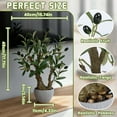 thumbnail image 6 of Small Artificial Olive Bonsai Tree Decor 18.5'' Tall Faux Olive Tree Potted Plant Desk Display with Bonsai Pot Decorative Greenery Realistic Wood for Home Office Countertop Kitchen Table Decor, 6 of 7