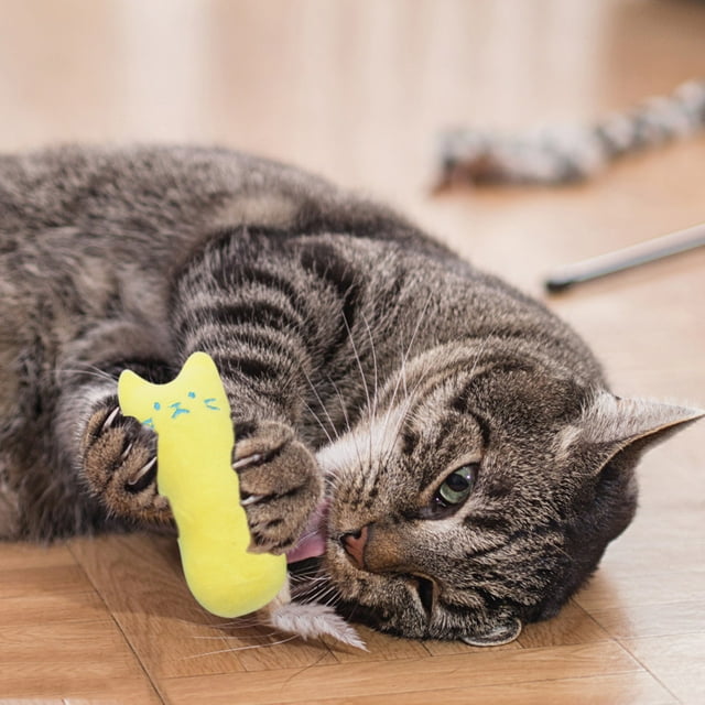 Interactive Fancy Catnip Pets Cat Pillow Toy Teeth Grinding Claws Pet Toys