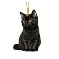 thumbnail image 4 of Yiokii Bla Cat Acrylic Car Charm | Hallown & Christmas | Cute Hanging Decor 9CW1, 4 of 8