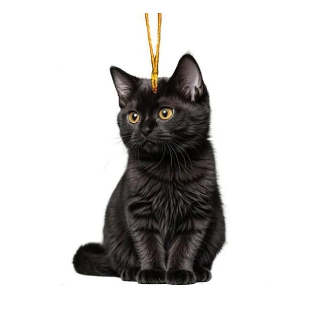 TQEHS Amuleto de acrílico para coche con forma de gato negro | Decoración navideña y de Halloween | Y5U0