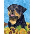 thumbnail image 1 of Carolines Treasures SS4158CHF 28 x 40 Po. Rottweiler Drapeau Toile, Taille Maison, 1 of 4