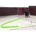 thumbnail image 5 of SHAR 1Pc Green Flexible Flying Bird Rope 15M Parrot Cockatiels Starling Bird Pet Leash Outdoor Flight Training Skillful Rope, 5 of 5