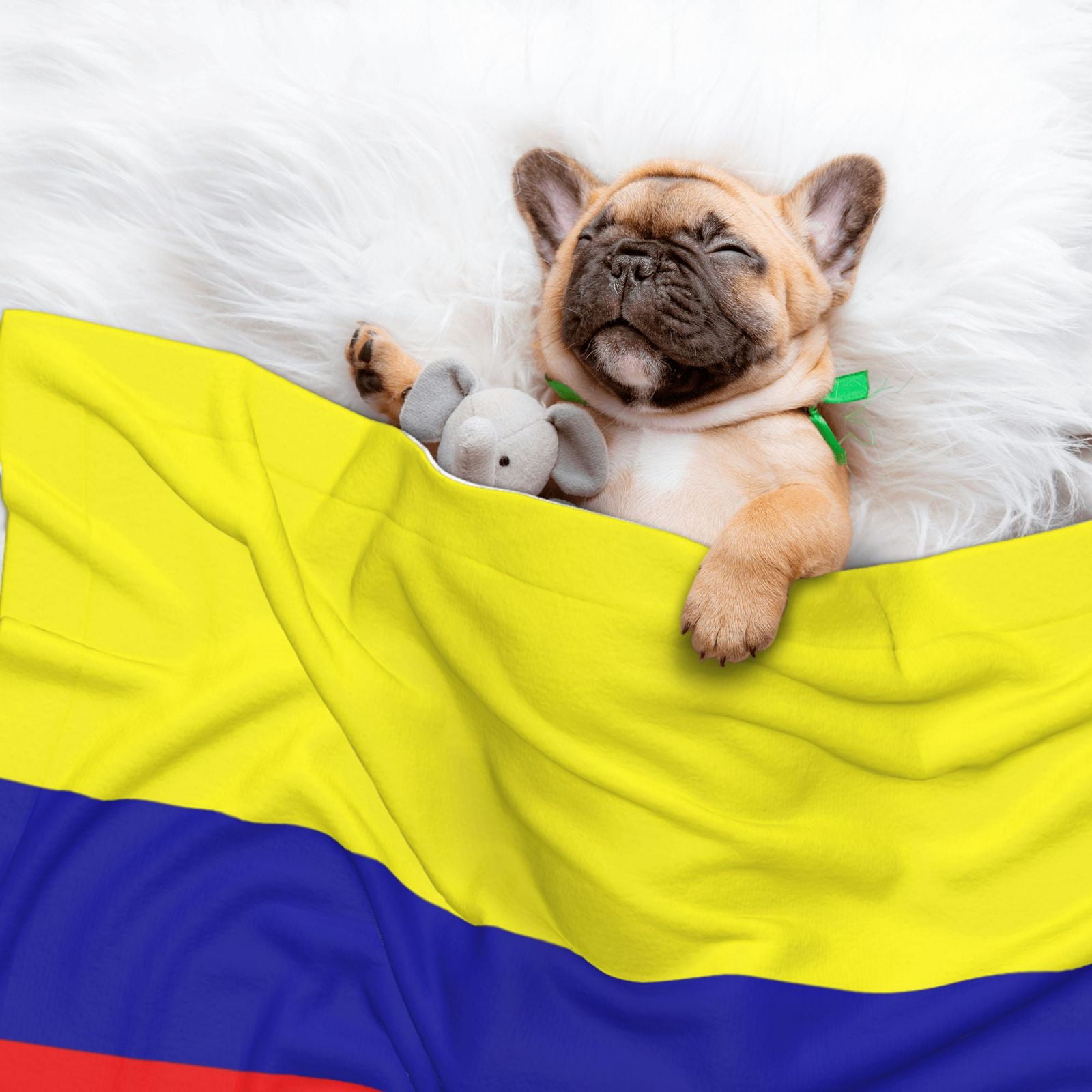 Flannel Throw Dog Blanket Colombian Flag Soft Warm Print Pet Blankets for Small Dog Cat Puppy