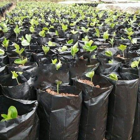 Mr. Garden Plastic Nursery Bag For Soil, Coco Coir, Grodan, W7.9