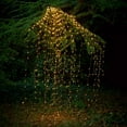 thumbnail image 5 of Viworld 200LED Waterfall-Shaped Flashing Fairy Lights, Solar Energy 8 Modes 10 Strands Waterproof Starry Sky Rattan String Lights, Used for Terrace Garden Christmas Decoration, Warm White, 5 of 8