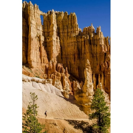 Hiking in Bryce Canyon National Park Utah, United States of America, North America Print Wall Art By Michael