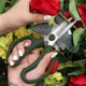 thumbnail image 4 of Garden Flower Scissors, Stainless Steel Floral Shears, Strong Pruner For Flowers, Branches--green, 4 of 5