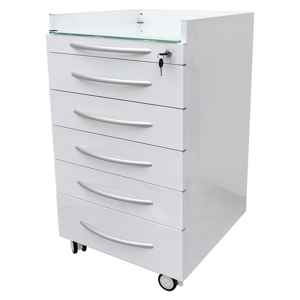 5 Drawers Dental Assistant's Mobile Cabinet Utility File Storage Moving Side Cabinet Stainless Steel with 2 Divider Brackets