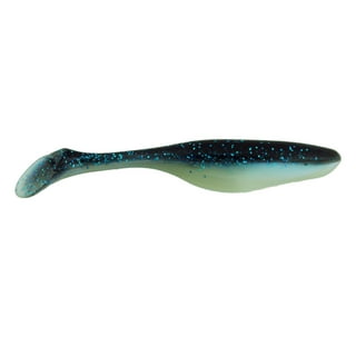 Seabass Fish