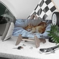 thumbnail image 3 of License Plate, Sleeping Kitten Decorative Front,Personalized Stainless Steel License Plate Cover For Men Women,12.2" X 6.2", 3 of 6