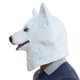thumbnail image 4 of Máscara de Halloween, máscara de cabeza de animal de látex de perro husky, máscaras de goma para disfraz novedoso, fiesta de carnaval de Halloween, máscara de látex divertida y complicada para perro m, 4 of 5