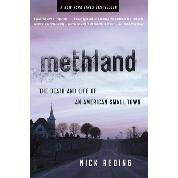 Bloomsbury Methland: The Death and Life of an American Small Town, Book 3, (Paperback)