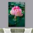 thumbnail image 3 of wall26 Canvas Print Wall Art Vibrant Close Up Pink Floral Water Lily Lake Nature Wilderness Photography Realism Decorative Yoga Multicolor Relax/Calm Zen for Living Room, Bedroom, Office - 12"x1, 3 of 5