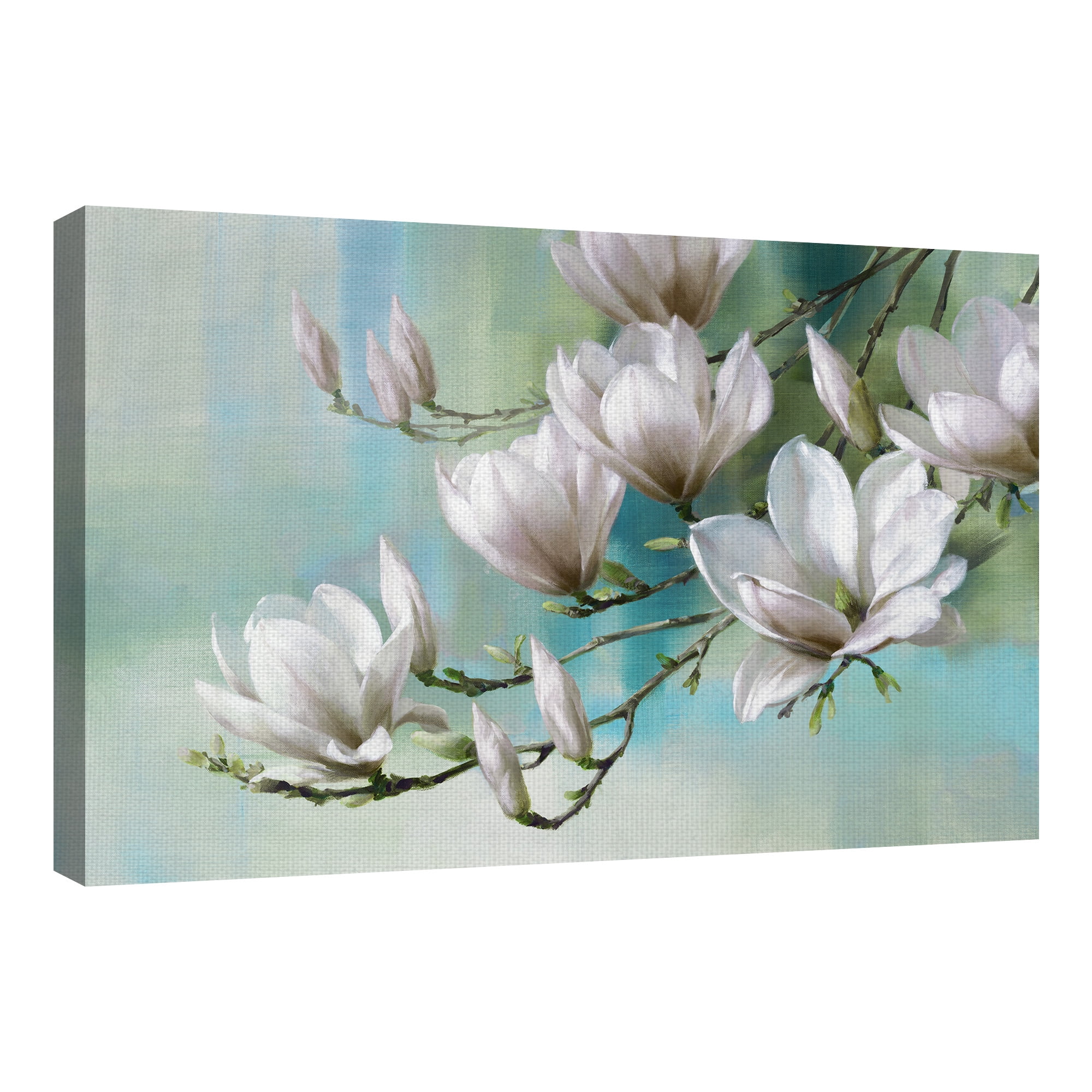 Masterpiece Art Gallery Magnolia Morning Teal By Roger Daniels Canvas Art Print 24" x 36"