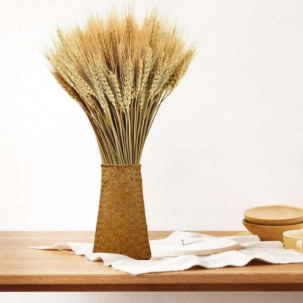 Tallos de trigo seco, 100 tallos de decoración de trigo natural para el hogar, la cocina, la boda de Navidad
