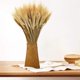 thumbnail image 1 of Tallos de trigo seco, 100 tallos de decoración de trigo natural para el hogar, la cocina, la boda de Navidad, 1 of 5