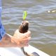 thumbnail image 5 of 20pcs trucha cuchara señuelo conjunto colores mezclados cebo de metal artificial lago de agua dulce Abanopi Señuelos duros, 5 of 5