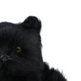 thumbnail image 4 of Precioso peluche de gato para decorar el salpicadero del coche. Gato negro, 4 of 7