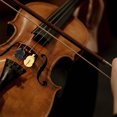 thumbnail image 2 of 8Pcs Rubber Violin Practice Mutes Violin Mutes Practice Silencers Violin Mutes, 2 of 6