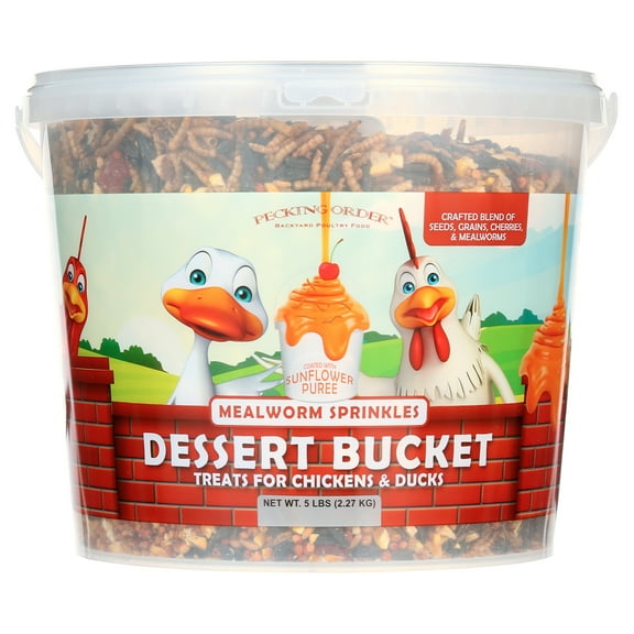 Pecking Order Dessert Bucket with Mealworm bits, 5 lb. for Poultry with Easy-to-Carry Handle