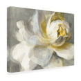 thumbnail image 4 of Danhui Nai 'Abstract Rose' Canvas Art, 4 of 4