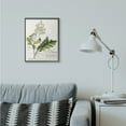 thumbnail image 2 of Stupell Industries Botanical Plant Illustration Leaves Vintage Design Framed Wall Art by Unknown, 2 of 8