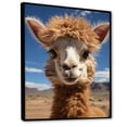 thumbnail image 2 of Designart "Alpaca Portrait Beige I" Animals Floater Framed Canvas Art Print, 2 of 7