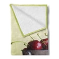 thumbnail image 2 of Country Soft Flannel Fleece Throw Blanket, Bucket with Full of Ripe Natural Tasty Cherries on Green Ombre Fruit Bowl Picture, Cozy Plush for Indoor and Outdoor Use, 50" x 60", Red Green, by Ambesonne, 2 of 5