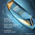 thumbnail image 2 of Set de champú y acondicionador Head & Shoulders Royal Oils, 2 of 8