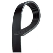 ACDelco Professional V-Ribbed Serpentine Belt 7K810 Fits select: 2006-2010 HONDA CIVIC, 2007-2008 INFINITI G35