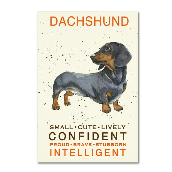 Trademark Fine Art 'Dachshund Print' Canvas Art by Michelle Campbell