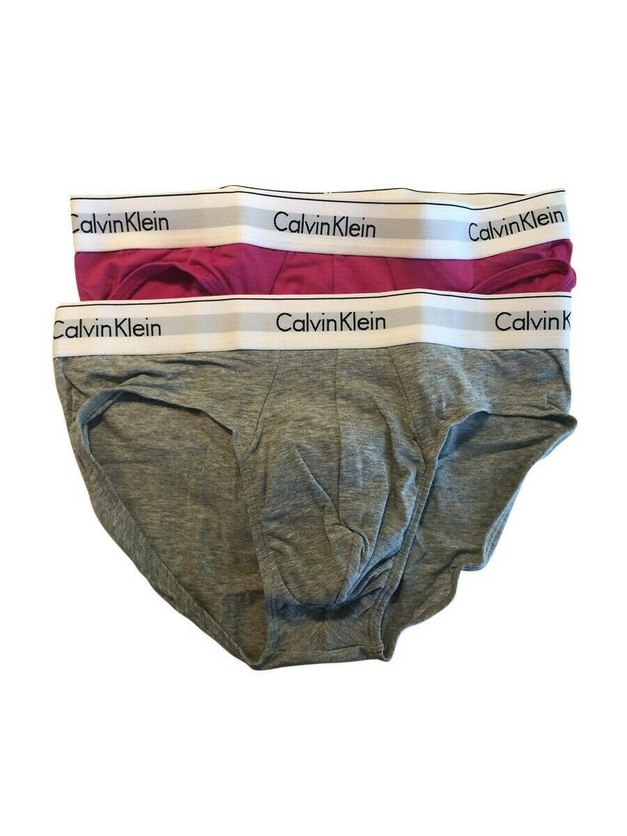 Calvin Klein Calvin Klein Modern Cotton Stretch Hip Briefs 2 Pack