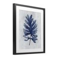 thumbnail image 3 of Stupell Industries Sea Algae Sprig Black Framed Print Under Glass design by Amber Sterling, 21 x 17, 3 of 10