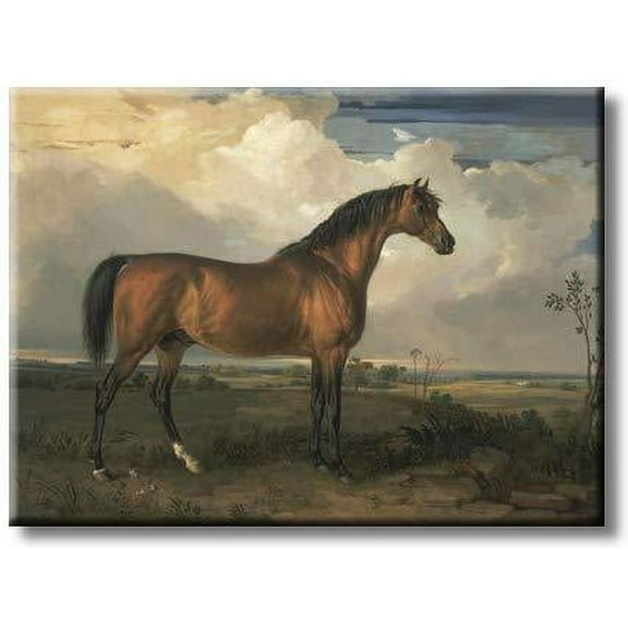 Standing Horse Picture on Stretched Canvas, Wall Art D?cor, Ready to Hang