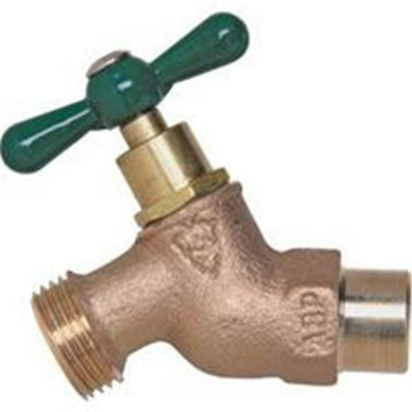 Arrowhead Brass Raccord de Tuyau 3/4 Sw X 3/4 Tuyau 252LF