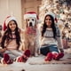 thumbnail image 3 of Collar para perro ADOGGYGO navideño ajustable, grande, de 41 a 60 cm, 3 of 5